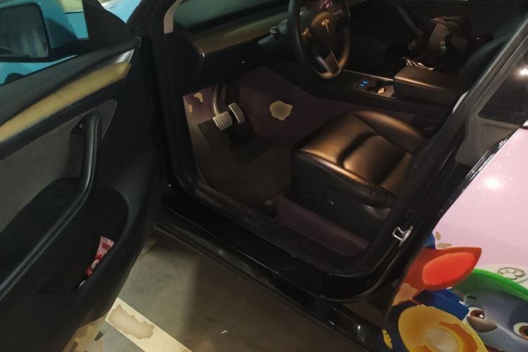 Used Tesla Model Y 2022 Performance High-Performance All-Wheel-Drive Version Driver Seat