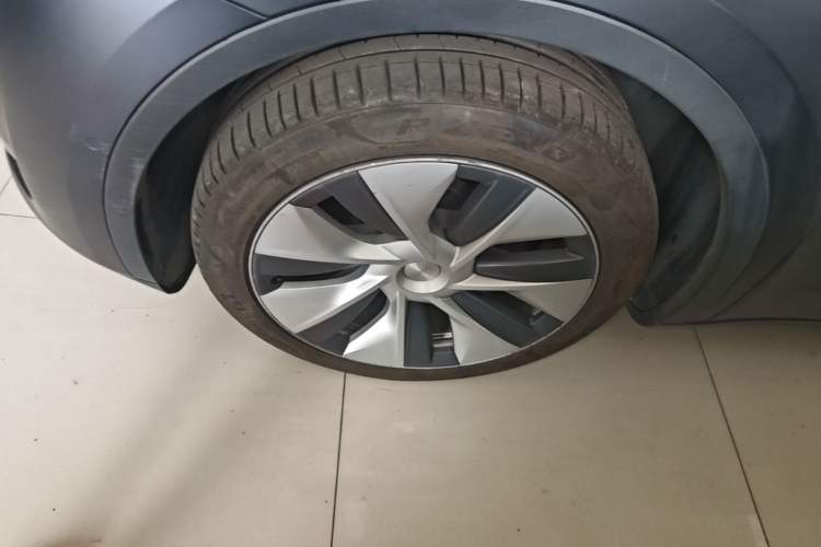 Used Tesla Model Y 2022 Rear-Wheel-Drive Version Exterior 4