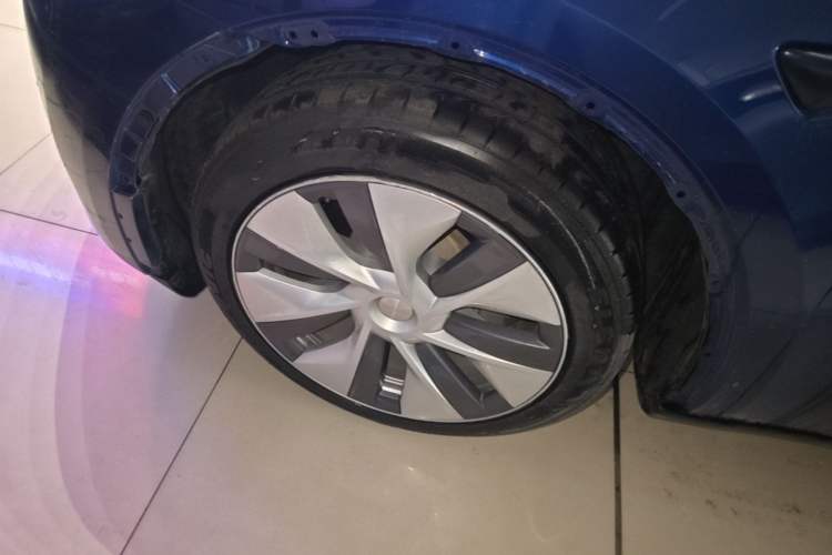 Used Tesla Model Y 2022 Rear-Wheel-Drive Version Exterior 4