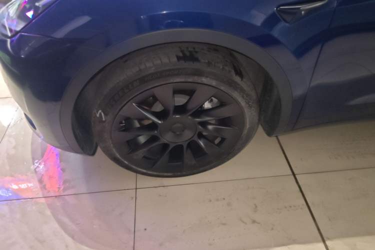 Used Tesla Model Y 2022 Rear-Wheel-Drive Version Exterior 4