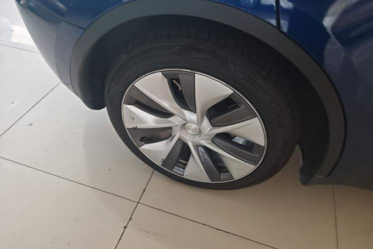 Used Tesla Model Y 2022 Rear-Wheel-Drive Version Exterior 5
