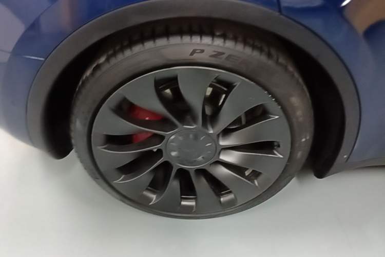 Used Tesla Model Y 2022 Performance High-Performance All-Wheel-Drive Version Exterior 5