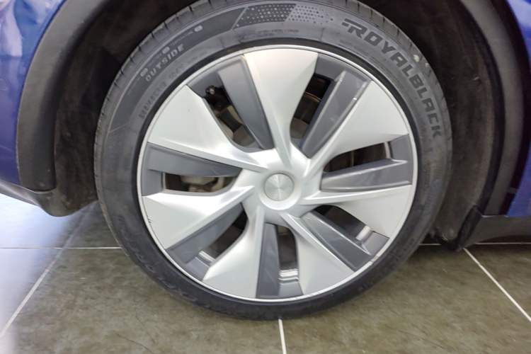 Used Tesla Model Y 2022 Rear-Wheel-Drive Version Exterior 5