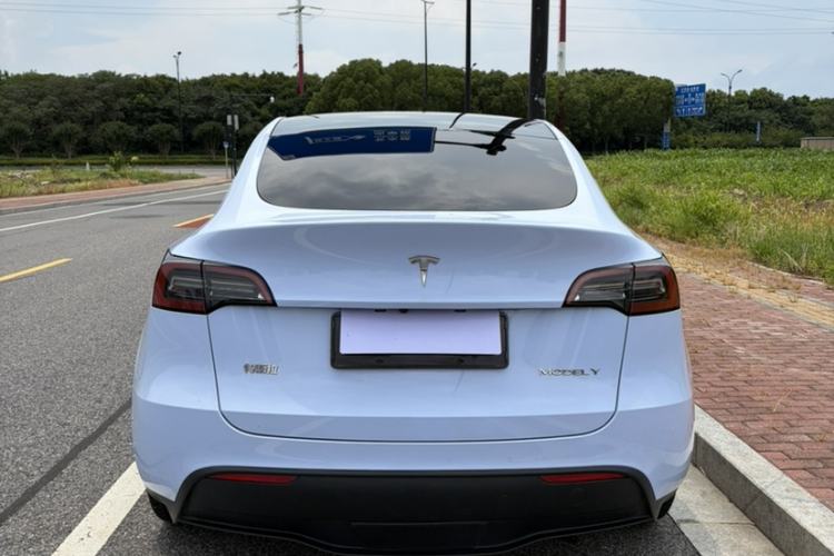 Used Tesla Model Y 2022 Revised Version Rear-Wheel Drive Exterior 6