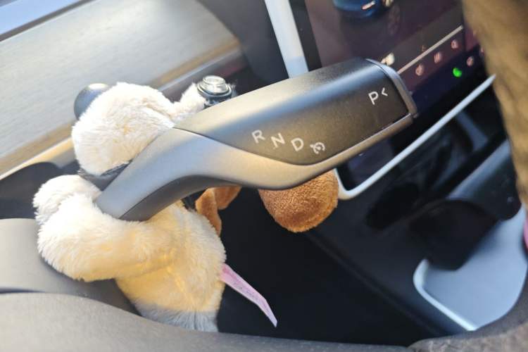 Used Tesla Model Y 2022 Revised Version Rear-Wheel Drive Gear Lever