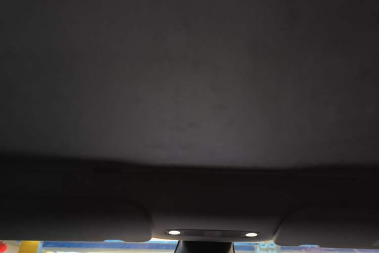 Used Tesla Model Y 2022 Rear-Wheel-Drive Version Headliner