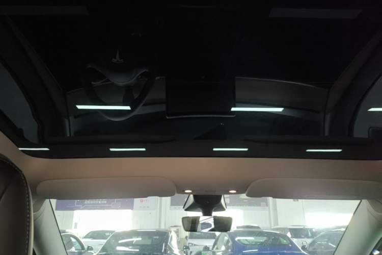 Used Tesla Model Y 2022 Long-Range All-Wheel-Drive Version Headliner