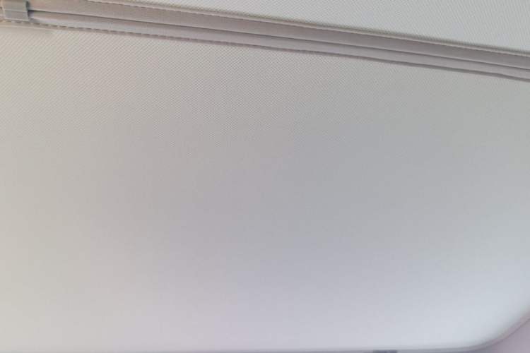 Used Tesla Model Y 2022 Performance High-Performance All-Wheel-Drive Version Headliner