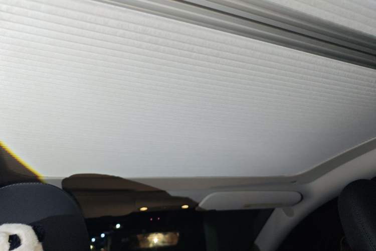 Used Tesla Model Y 2022 Revised Version Rear-Wheel Drive Headliner
