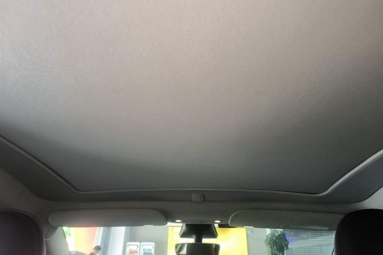 Used Tesla Model Y 2022 Revised Version Rear-Wheel Drive Headliner