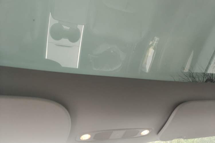 Used Tesla Model Y 2022 Rear-Wheel-Drive Version Headliner