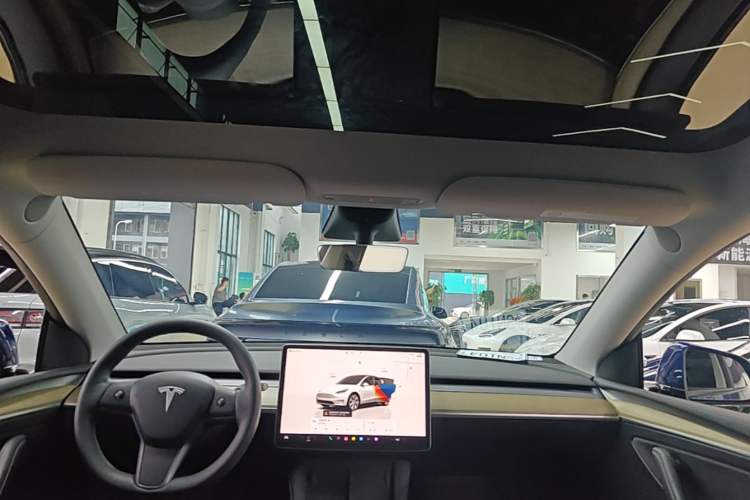 Used Tesla Model Y 2022 Revised Version Rear-Wheel Drive Headliner