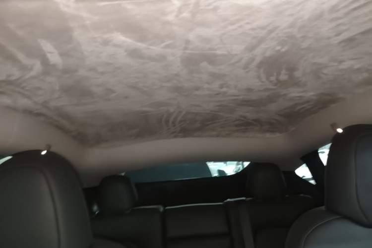 Used Tesla Model Y 2022 Rear-Wheel-Drive Version Headliner