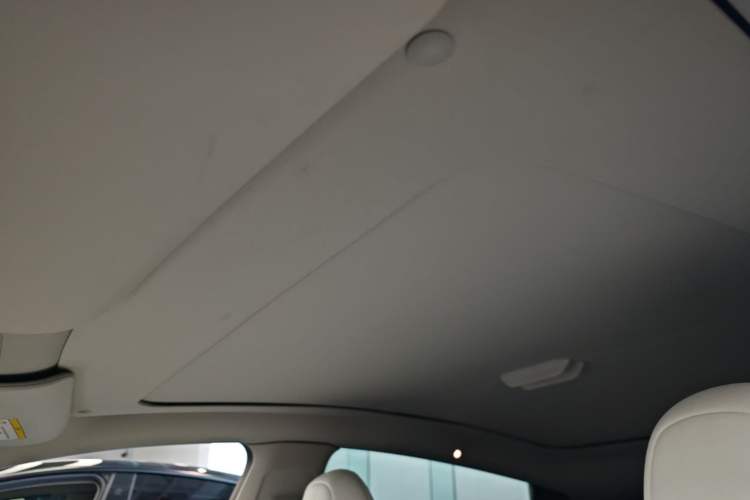 Used Tesla Model Y 2022 Performance High-Performance All-Wheel-Drive Version Headliner