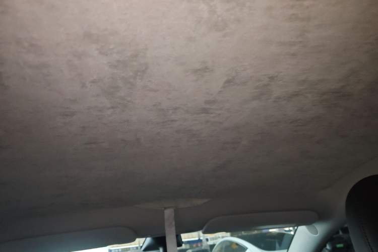 Used Tesla Model Y 2022 Rear-Wheel-Drive Version Headliner