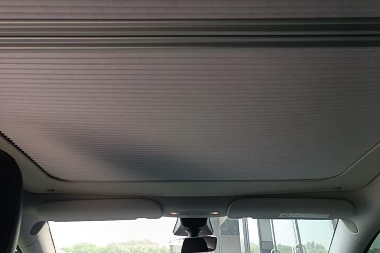 Used Tesla Model Y 2022 Long-Range All-Wheel-Drive Version Headliner