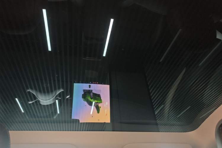 Used Tesla Model Y 2022 Rear-Wheel-Drive Version Headliner