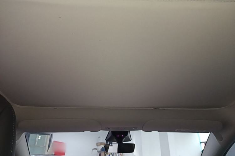 Used Tesla Model Y 2022 Rear-Wheel-Drive Version Headliner