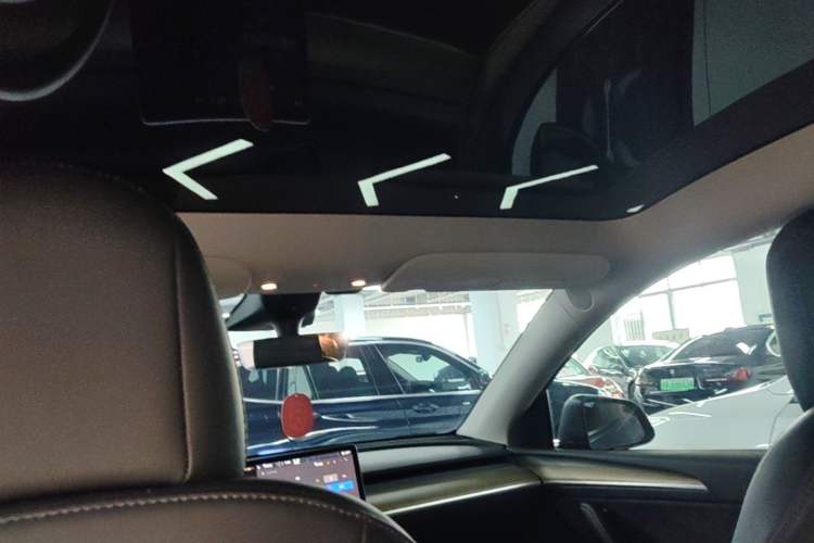 Used Tesla Model Y 2022 Long-Range All-Wheel-Drive Version Headliner