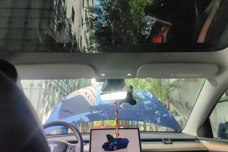 Used Tesla Model Y 2022 Rear-Wheel-Drive Version Headliner