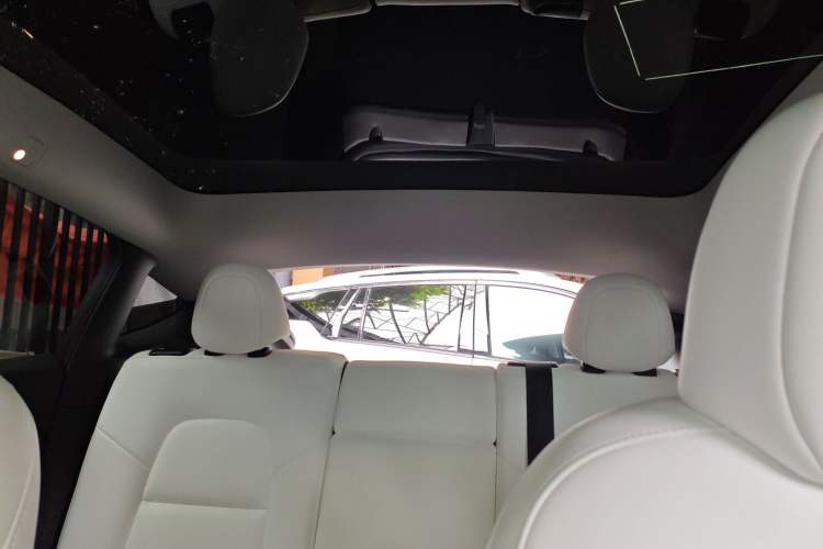 Used Tesla Model Y 2022 Performance High-Performance All-Wheel-Drive Version Headliner