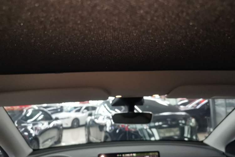 Used Tesla Model Y 2022 Rear-Wheel-Drive Version Headliner