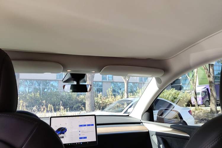 Used Tesla Model Y 2022 Long-Range All-Wheel-Drive Version Headliner