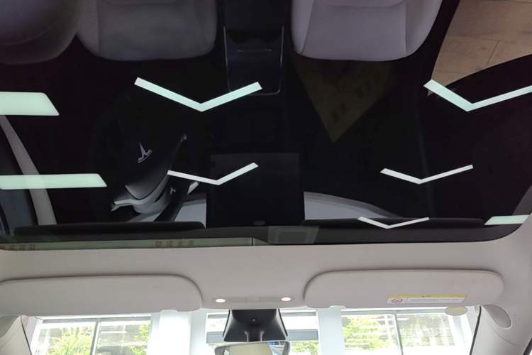 Used Tesla Model Y 2022 Rear-Wheel-Drive Version Headliner