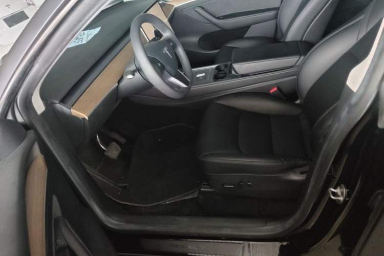 Used Tesla Model Y 2022 Rear-Wheel-Drive Version Left Front Seat