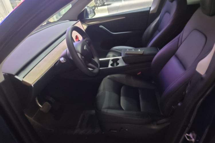 Used Tesla Model Y 2022 Rear-Wheel-Drive Version Left Front Seat