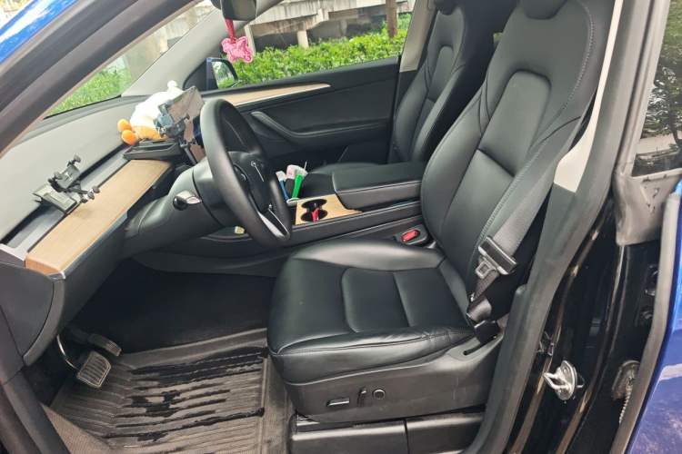 Used Tesla Model Y 2022 Rear-Wheel-Drive Version Left Front Seat