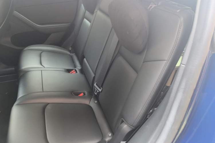 Used Tesla Model Y 2022 Performance High-Performance All-Wheel-Drive Version Left Rear Seat