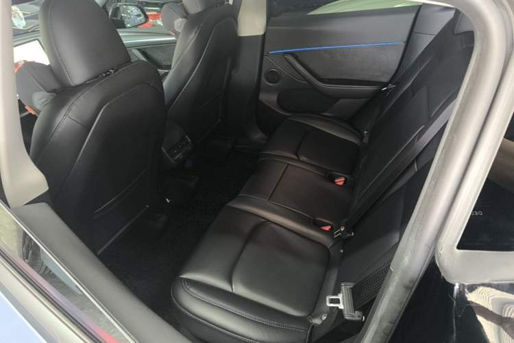 Used Tesla Model Y 2022 Revised Version Rear-Wheel Drive Left Rear Seat