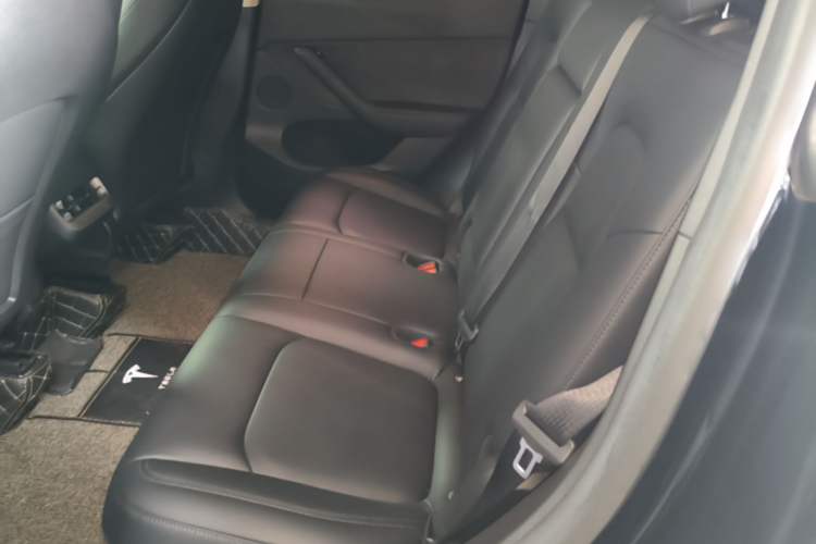 Used Tesla Model Y 2022 Rear-Wheel-Drive Version Left Rear Seat