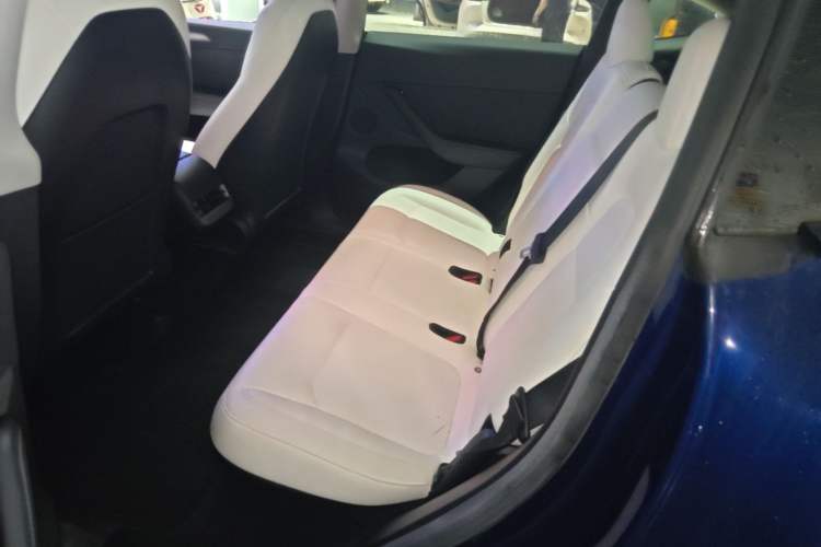 Used Tesla Model Y 2022 Rear-Wheel-Drive Version Left Rear Seat