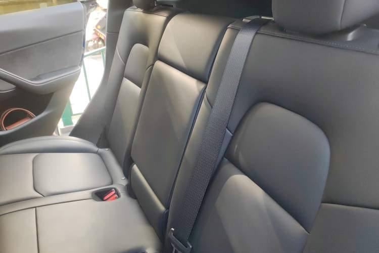 Used Tesla Model Y 2022 Revised Version Rear-Wheel Drive Left Rear Seat