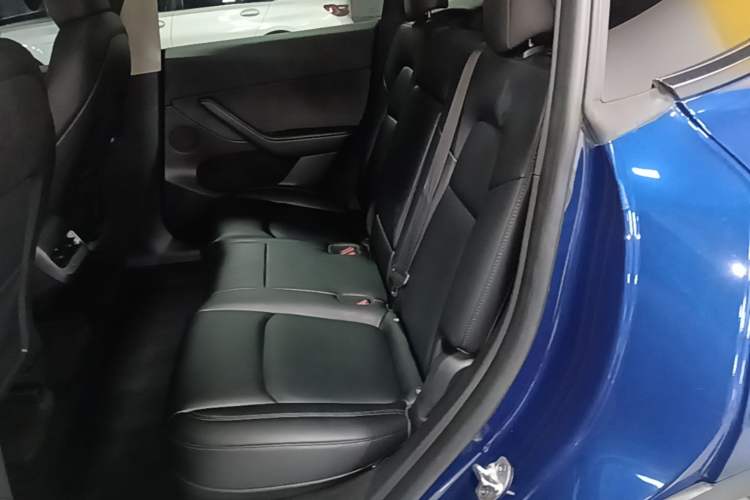 Used Tesla Model Y 2022 Performance High-Performance All-Wheel-Drive Version Left Rear Seat