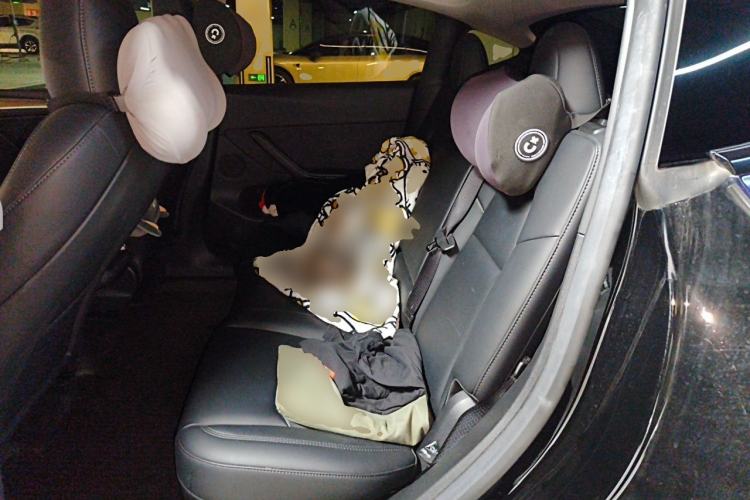 Used Tesla Model Y 2022 Revised Version Rear-Wheel Drive Left Rear Seat