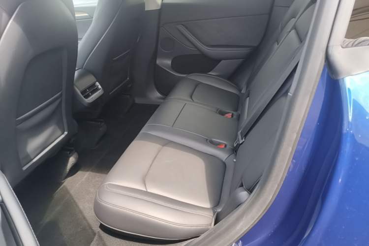 Used Tesla Model Y 2022 Rear-Wheel-Drive Version Left Rear Seat
