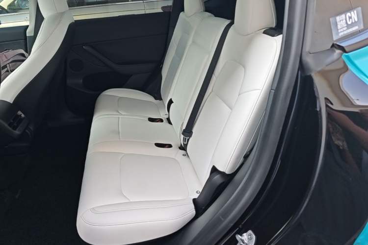 Used Tesla Model Y 2022 Rear-Wheel-Drive Version Left Rear Seat
