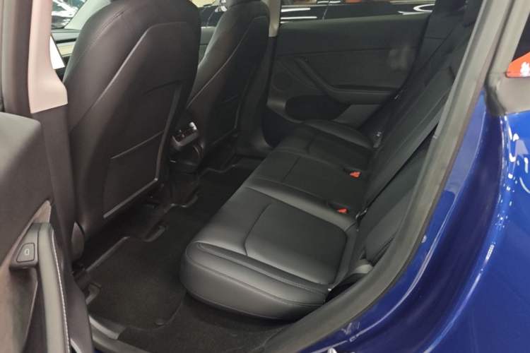Used Tesla Model Y 2022 Long-Range All-Wheel-Drive Version Left Rear Seat