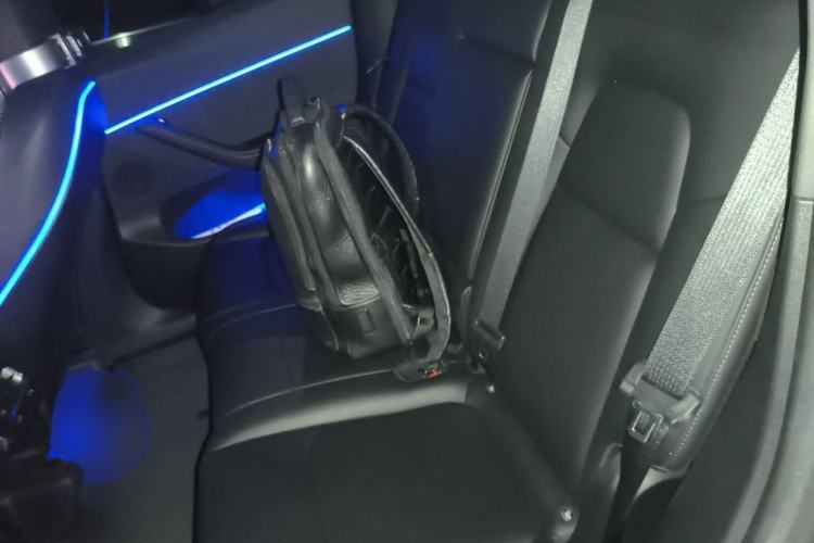 Used Tesla Model Y 2022 Revised Version Rear-Wheel Drive Left Rear Seat
