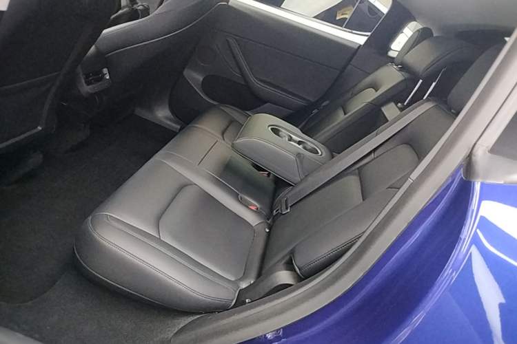 Used Tesla Model Y 2022 Long-Range All-Wheel-Drive Version Left Rear Seat