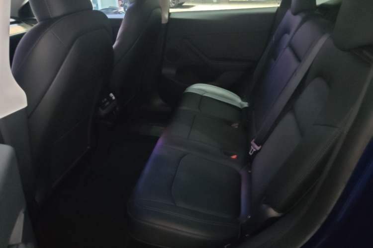 Used Tesla Model Y 2022 Rear-Wheel-Drive Version Left Rear Seat