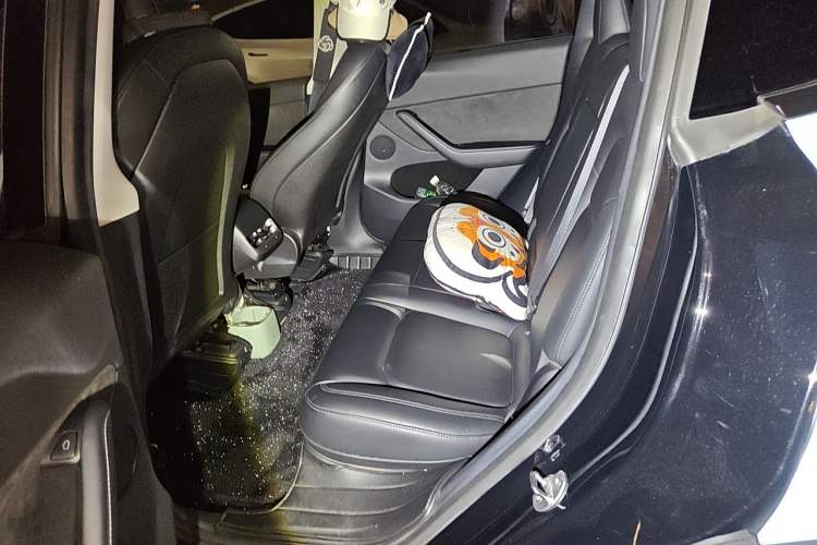Used Tesla Model Y 2022 Rear-Wheel-Drive Version Left Rear Seat