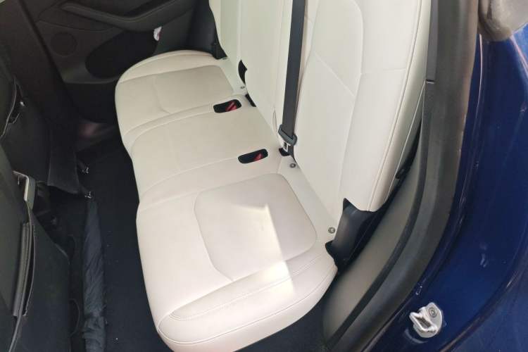 Used Tesla Model Y 2022 Performance High-Performance All-Wheel-Drive Version Left Rear Seat