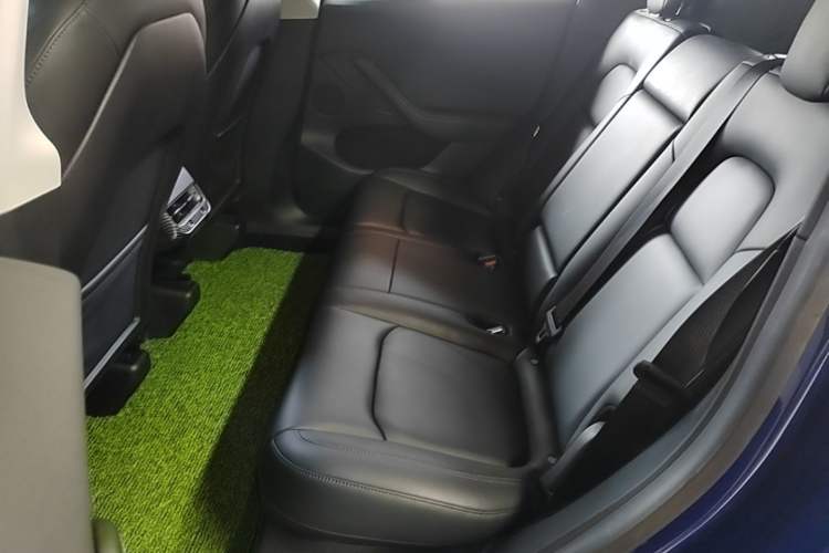Used Tesla Model Y 2022 Revised Version Rear-Wheel Drive Left Rear Seat