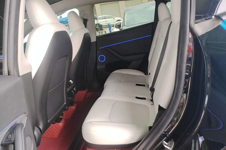 Used Tesla Model Y 2022 Revised Version Rear-Wheel Drive Left Rear Seat