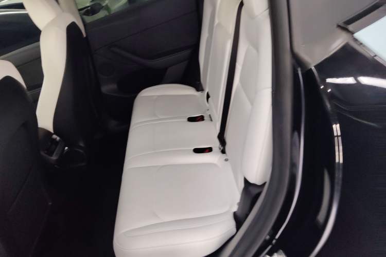 Used Tesla Model Y 2022 Long-Range All-Wheel-Drive Version Left Rear Seat