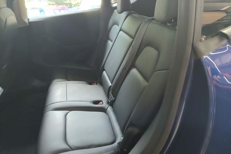 Used Tesla Model Y 2022 Rear-Wheel-Drive Version Left Rear Seat